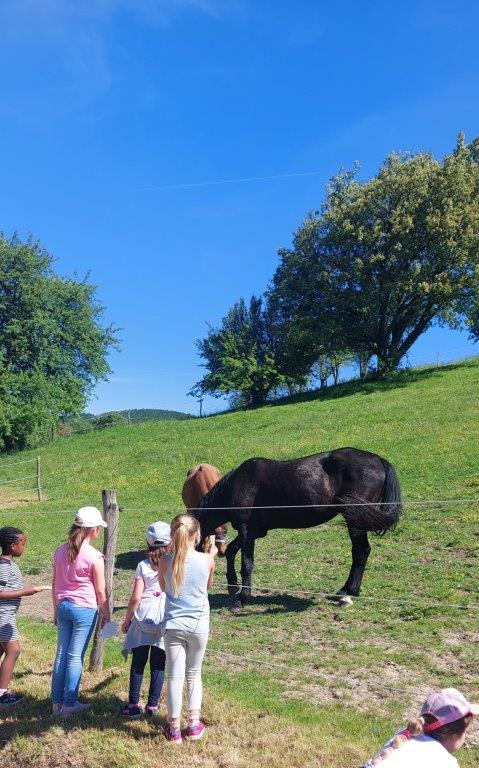 Bio Bauernhof Familie Rank
